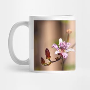 Japanese Toad Lily Mug